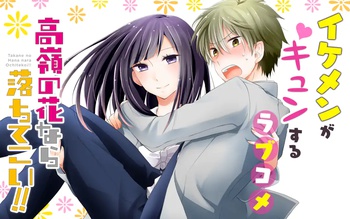 高嶺の花なら落ちてこい!!