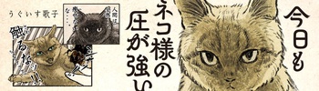 今日もネコ様の圧が強い