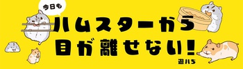 今日もハムスターから目が離せない！