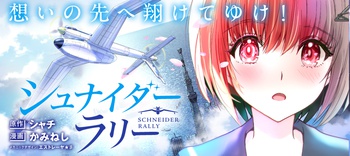 シュナイダーラリー