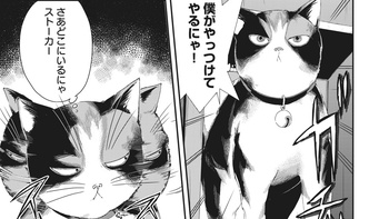 猫とストーカー