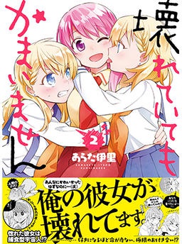 壊れていてもかまいません