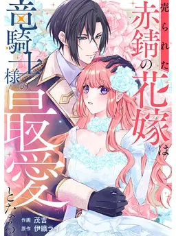 売られた赤錆の花嫁は竜騎士様の最愛となる