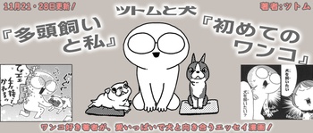 ツトムと犬